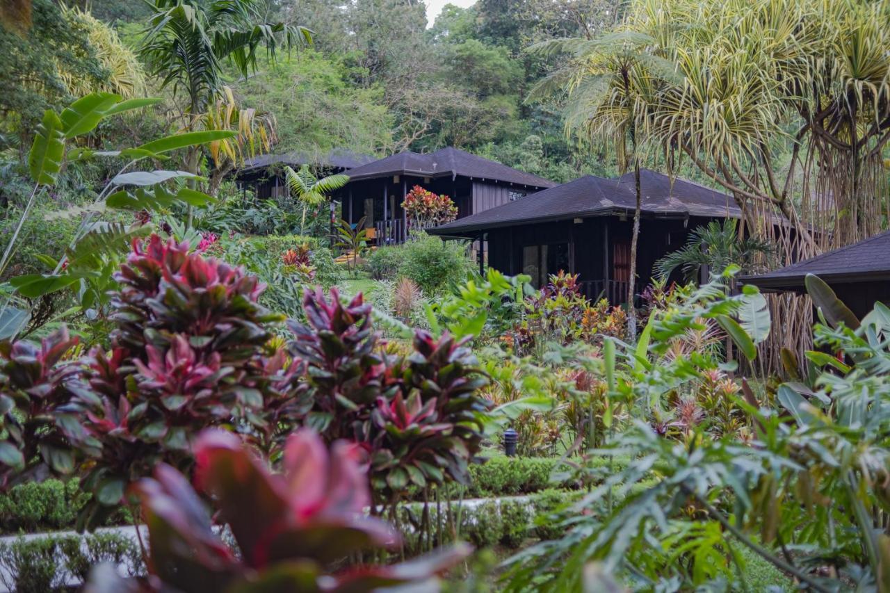 Hotel Lomas Del Volcan La Fortuna Bagian luar foto